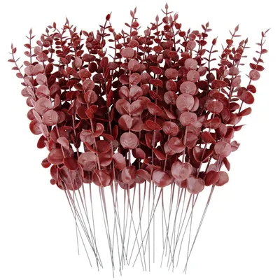 Produktbild von Künstliche Eukalyptusstiele Rot 38,1 cm 36 Stück