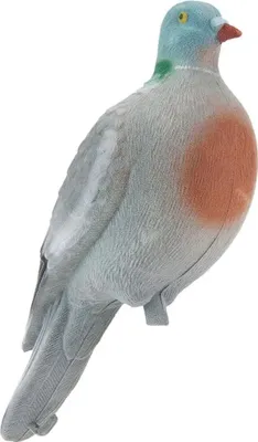Immagine prodotto di Eurohunt Piccione esca grandezza naturale Bianco Bianco Taglia Unica
