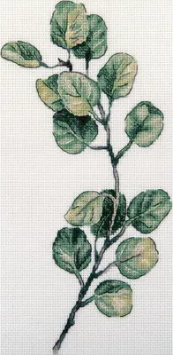 Produktbild von Panna Kreuzstich Set "Eukalyptus 1", Zählmuster, 21x30cm
