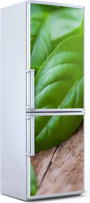 Produktbild von Magnete Dekorative 60x180 cm Küche Magnetmatte Kühlschrankmagnete - Basilikumblätter