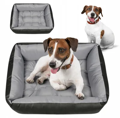 Image de Superkissen24 Coussin imperméable doux pour chien et chat gris XL