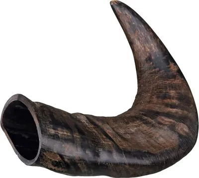 Immagine prodotto di Bison horn, confezionato