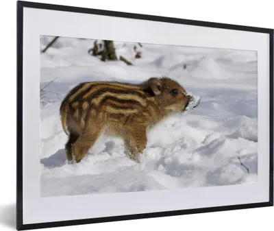 Produktbild von MuchoWow® MuchoWow® Gerahmtes Poster Wildschwein - Tier - Schnee 60x40 cm - Poster mit zchwarzem Bilderrahmen - Schlafzimmer - Plakat in Rahmen - Drucken