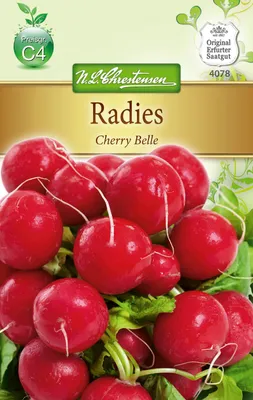 Artikelbild 1 von 'Radies Cherry Belle' aus der Kategorie Radieschensamen