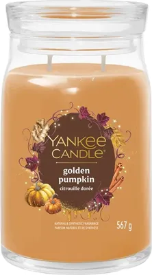 Immagine prodotto di Candela Yankee Candle Golden Pumpkin 368 g