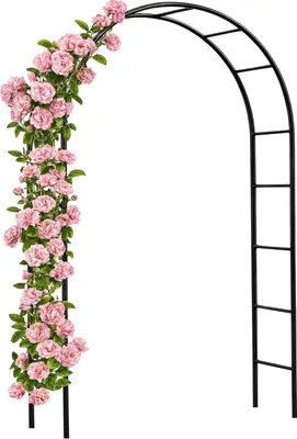 Produktbild von GARDEBRUK® Rosenbogen 240x140x37cm Metall Stabil Wetterfest Garten Rankgitter Rankhilfe Rankbogen Metallbogen Gartenbogen