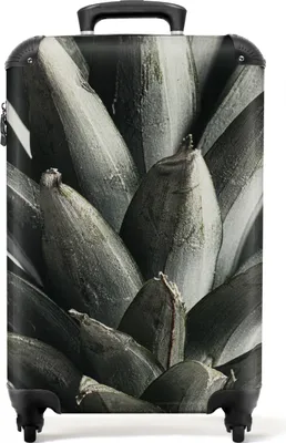 Obrázek produktu pro NoBoringSuitcases.com® Kufr Příruční zavazadlo na kolečkách Kufr na kolečkách Malý cestovní kufr na 4 kolečkách - Ananas - Zelený - Zátiší - Příroda - Příruční velikost < 55x40x23 cm a 55x40x20 cm - Foto kufr - Příruční kufr - Palubní zavazadloPříruční zavazadlo Kufr 55x35x20 cm, 36L,