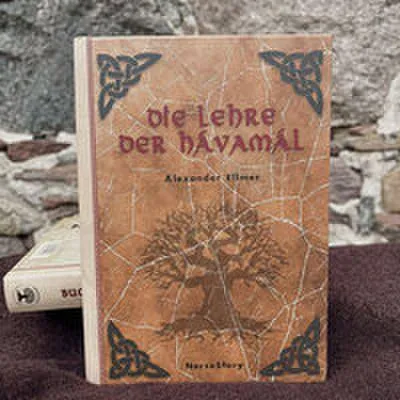 Zdjęcie produktu dla Die Lehre der Hávamál