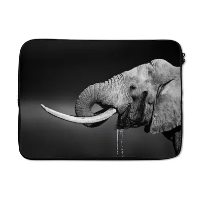 Produktbild von MuchoWow® Laptop Hülle 14 ZollElefant - Wasser - Tiere - Schwarz - Weiß Laptoptasche - Laptoptasche - Stoßsicher - Schutzhaube