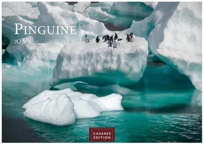 Produktbild von Pinguine Kalender 2026 - Wandkalender | Fotokalender Tierkal
