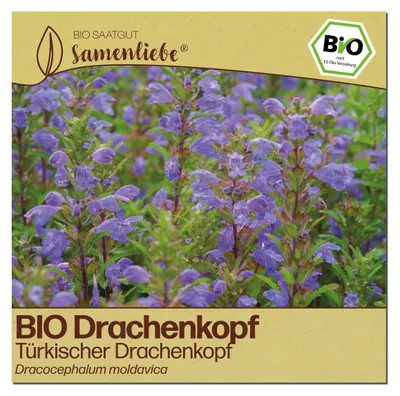 Produktbild von Samenliebe  Drachenkopf Samen | Türkischer Drachenkopf - bienenfreundlich - samenfestes  Saatgut
