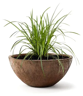 Produktbild von ® Pflanzkübel Pflanzschale Bowl Ø 36cm Rost *Frostbeständige Blumenschale* ** *Lotus-Effekt Imprägnierung*