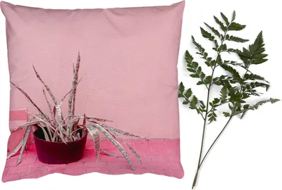 Produktbild von MuchoWow® Zierkissen Sofakissen Wohnzimmer Dekokissen 40x40 cm Sommer - Rosa - Pflanzen - Foto Kissen - Schlafzimmer Dekoration
