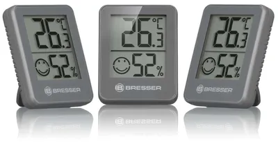 Immagine prodotto di termometro Temeo Hygro58 mm grigio 3 pezzi
