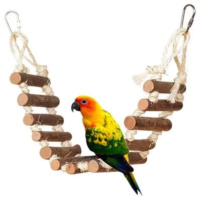 Immagine prodotto di Scala in legno per uccelli, giocattolo per l'arrampicata, adatta a piccoli e medi uccelli, lunghezza 60-70 cm, realizzata in legno naturale