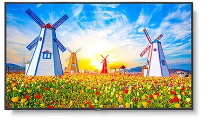 Image de NEC 165,0cm(65") MS M651 16:9 2xHDMI+DP+USB IPS (Speditionsversand)