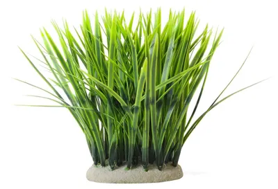 Productafbeelding van Aquariendecoratie Vallisneria 11,5 x 7 x 20 cm