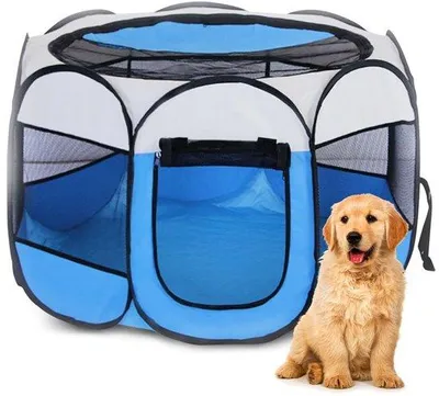 Image de Cage de transport légère et portable pour animaux