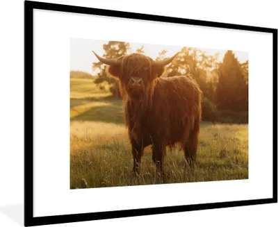 Produktbild von MuchoWow® Gerahmtes Poster Schottischer Hochländer - Gras - Sonne 90x60 cm - Poster mit Schwarzem Bilderrahmen Wandposter Rahmen Foto Bilder - Wanddekoration - Fotos