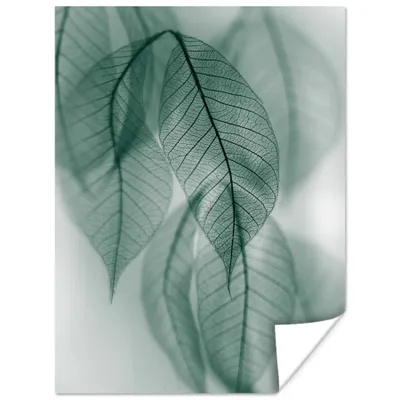Produktbild von MuchoWow® Poster Blätter - Grün - Natur - Stilleben 90x120 cm - Wohnzimmer