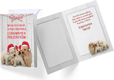 Productafbeelding van Kerstbonnenboekje PP-2106