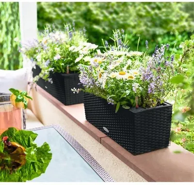 Obrázek produktu pro LECHUZA Balconera Cottage 50 květináč, 50 x 19 x 19 cm, kompletní sada, grafitově černý, 8 l