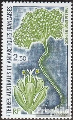 Produktbild von Briefmarken Französ. Gebiete Antarktis 1993 Mi 302 (kompl.Ausg.) postfrisch Pflanzen der Antarktis