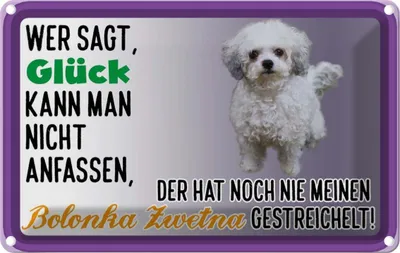 Produktbild von vianmo Blechschild 20x30 cm Glück anfassen Bolonka Zwetna Dekoration Hund