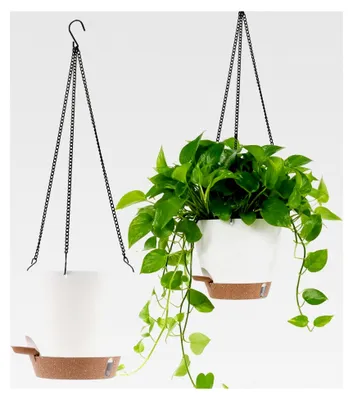 Produktbild von 2er Set Hängender Blumentopf, 20,3 x 17,8 cm mit Wasserspeicher, Weiß