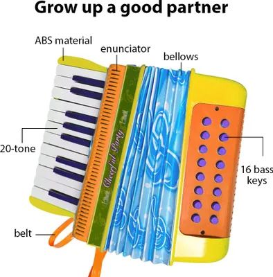 Immagine prodotto di Mini fisarmonica con 20 tasti e 16 bassi, materiale ABS con fibbia, pulsante luminoso, coordinazione occhio-mano, performance sul palco, strumento musicale per principianti, regalo di Natale