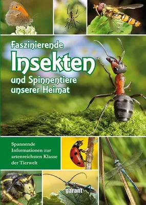 Image de Faszinierende Insekten und Spinnentiere unserer Heimat
