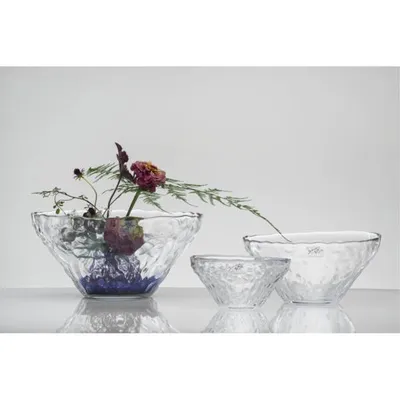 Produktbild von Dekoschale, Glasschale PEPPLE H. 10cm D. 21cm transparent rund Sandra Rich WA