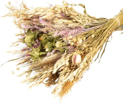 Produktbild von Trockenblumentrauß 'Boho', Rosa, Länge ca. 50 cm