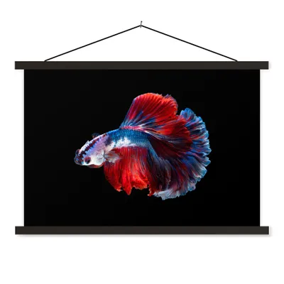 Produktbild von MuchoWow® Textilposter Fisch - Schwanz - Schwarz 150x100 cm mit schwarzem Rahmen - Schlafzimmer