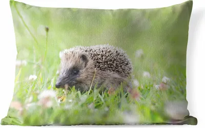 Produktbild von MuchoWow® Outdoor Kissen - Kleiner Igel im Gras - 50x30 cm - Wetterfest - Lounge Kissen - Sofa kissen - Wohnzimmer Dekoration