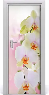 Produktbild von Tulup Türaufkleber 75x205 cm Dekorative Aufkleber Selbstklebend Wasserdichte Tapete Abnehmbar Schlafzimmer Wohnzimmer Wohnkultur - weisse Orchidee