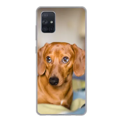 Produktbild von MuchoWow® Handyhülle Schutzhülle Hülle für Samsung Galaxy A71 Dackel liegend auf einem Bett Silikon Softcase Handy Hülle - Kartenbesitzer