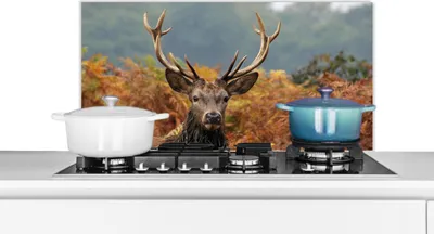 Produktbild von KitchenYeah®  Spritzschutz Küche - Küchenrückwand - Wandschutz für Herd und Spüle - Hirsch - Baum - Herbst 90x45 - Alu-Dibond (Alternative zum Spritzschutz aus Glas) - Hitzebeständig - Herdspritzschut