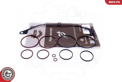 Produktbild von ESEN SKV Reparatursatz Saugrohrmodul 96SKV400 für BMW 5 Limousine (E39) 0,04kg