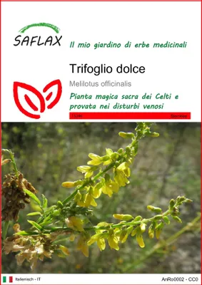 Immagine prodotto di SAFLAX  - Trifoglio dolce - 250 semi - Melilotus