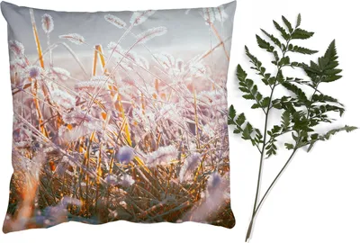 Produktbild von MuchoWow® Zierkissen Sofakissen Wohnzimmer Dekokissen 50x50 cm Gras - Sonne - Winter - Schnee - Komfort - Sofakissen
