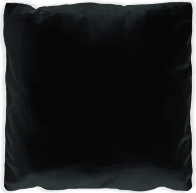 Produktbild von Wallario Premium Kissen, weiche Oberfläche, mit Motiv Schwarz, Größe: 30 x 30 cm, mit weißer Rückseite