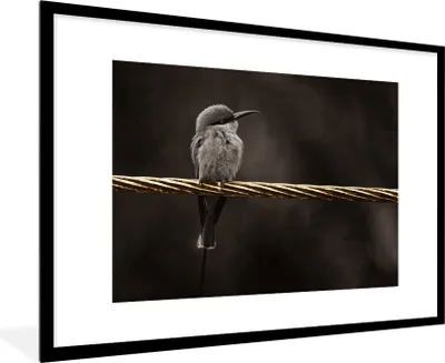 Produktbild von MuchoWow® Gerahmtes Poster Vogel - Schwarz - Gold 90x60 cm - Poster mit Schwarzem Bilderrahmen Wandposter Rahmen Foto Bilder - Wanddekoration - Fotos