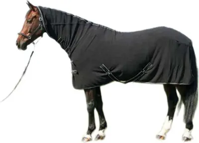 Immagine prodotto di Harry's Horse Deluxe Tappeto in pile per cavalli Grigio 215 cm Grigio 215 cm