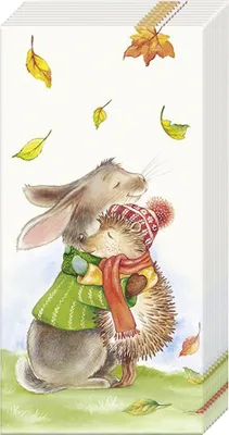 Produktbild von Papiertaschentücher "Best Friends Forever"
