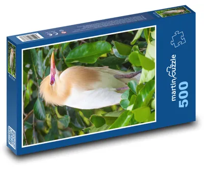 Zdjęcie produktu dla martinpuzzle - Puzzle 500 - Pták - Petulubali, volavka