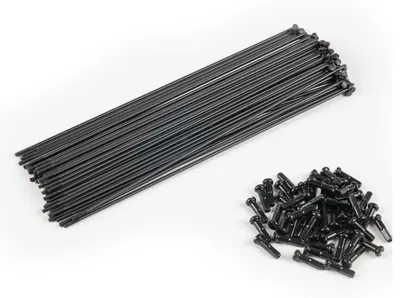 Produktbild von Éclat Pg Speichen Und Nippel Kit 40 Einheiten Schwarz 174 mm Schwarz 174 mm