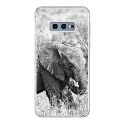 Produktbild von MuchoWow® Handyhülle Schutzhülle Hülle für Samsung Galaxy S10e Elefant - Tiere - Gras - Schwarz und weiß Silikon Softcase Handy Hülle - Handy