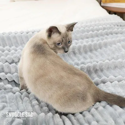 Immagine prodotto di Uniqoos® Coperta in pile di flanella spazzolata – 100% poliestere, grigia, 150 x 200 cm – morbida coperta per la casa e il divano, ideale per letto, divano e bambini