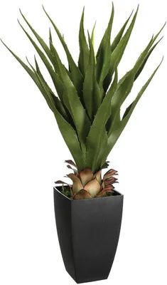 Zdjęcie produktu dla Sztuczna agawa, wys. 73 cm  – Atmosphera, projektant wnętrz